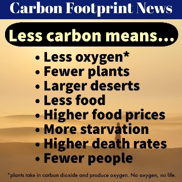 CO2 MANY FOOLS